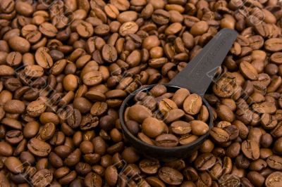 Roasted grains of fragrant black coffee