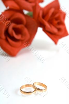 Two wedding rings and red rose at the background