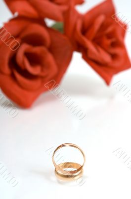 Two wedding rings and red rose at the background