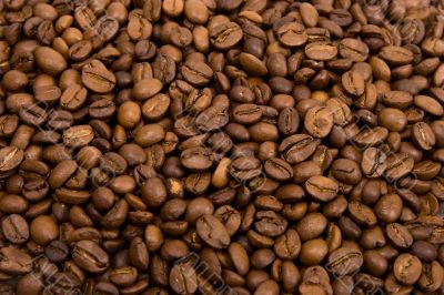 Roasted grains of fragrant black coffee