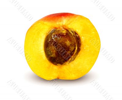 fresh apricot cut