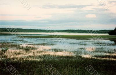 landscape