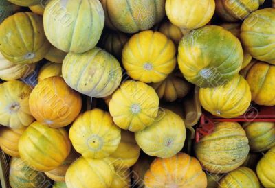 pumpkin