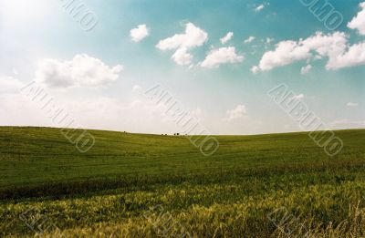landscape