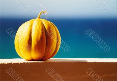 honeydew melon