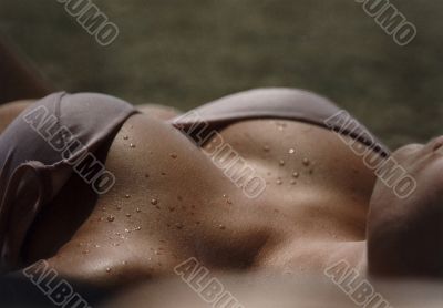 female breast