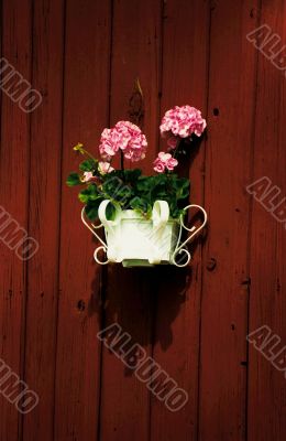 balcony flowers