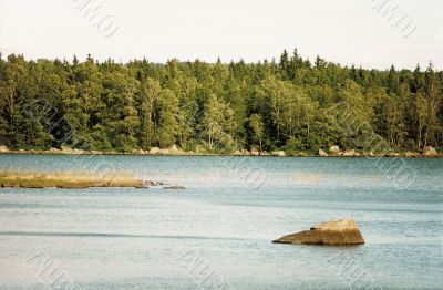 landscape