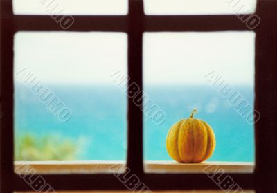 honeydew melon