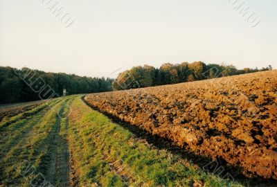landscape