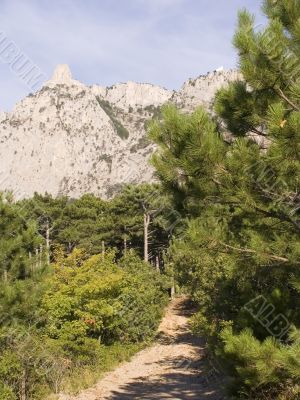 Road on top of mountain