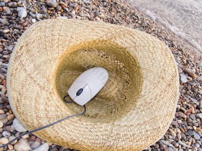 The computer mouse