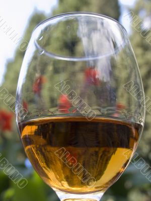 Glass with a wine