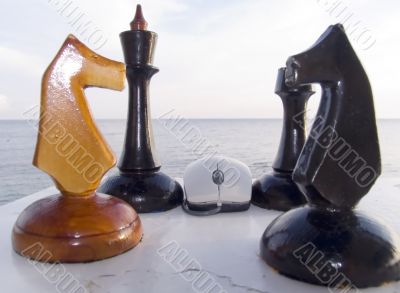 Combination from chessmen and the computer mouse