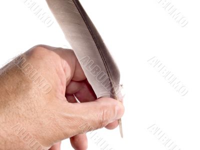 The bird`s feather in a hand