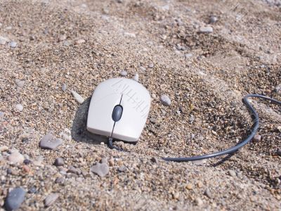The computer mouse