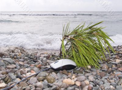 The computer mouse on a beach