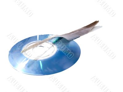 Laser disk and the bird`s feather.