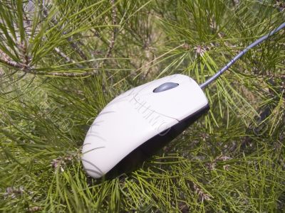 Travel of the computer mouse.