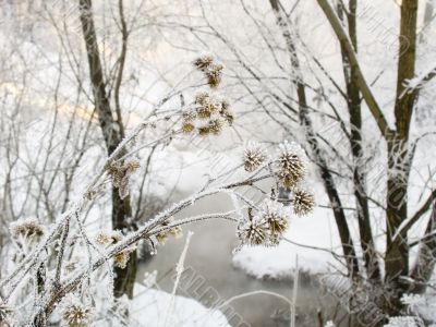  frosty day with the river