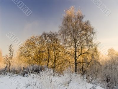 Winter landscape about a frosty sunny day