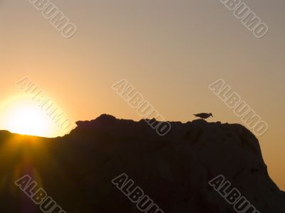 Sunrise on the sea.