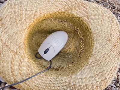 The computer mouse