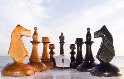 Combination from chessmen and the computer mouse