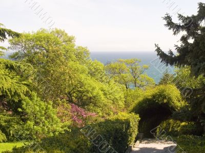 Spring in ancient park