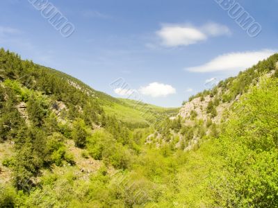 Canyon with the mountain river