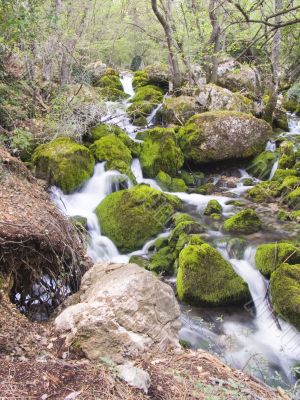 Falls