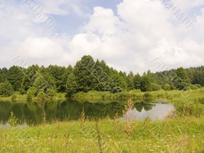 Wood lake