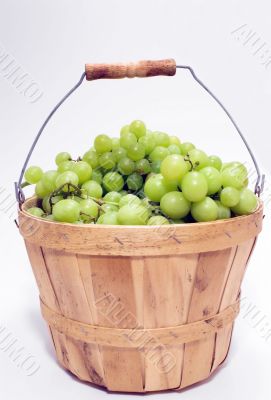 Basket of Grapes