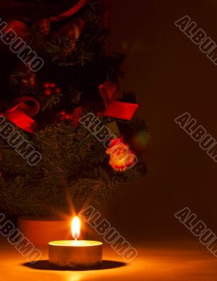 Magic Christmas
