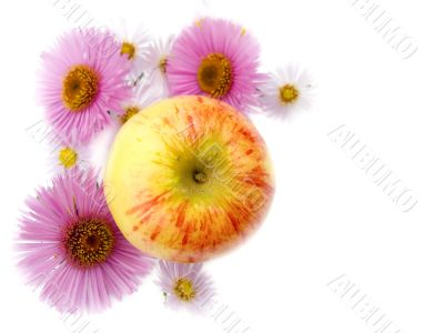 Autumn still-life