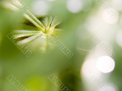Abstract picture of a nature