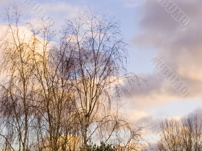 fiery bright clouds in the sky
