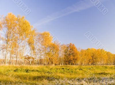 Colourful autumn landscape