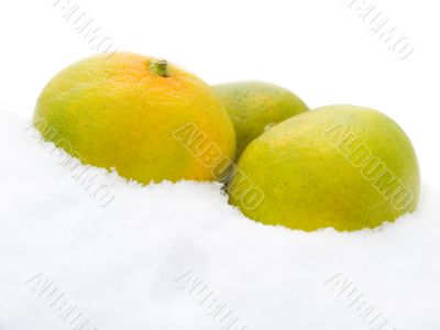 Three tangerines on snow