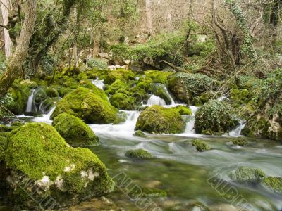 Falls on the small mountain river
