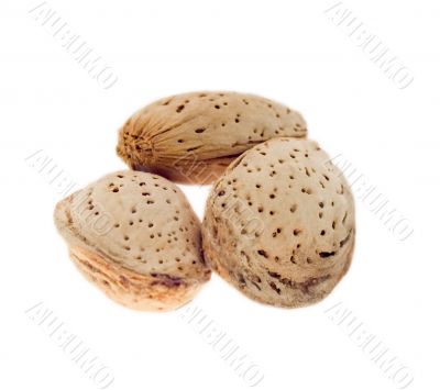 Three almond nuts in a shell.