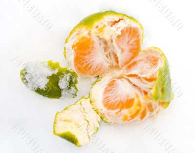 Open tangerine on snow