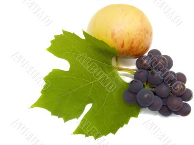 Autumn still-life