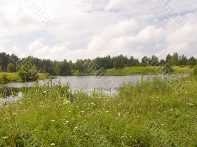 Wood lake