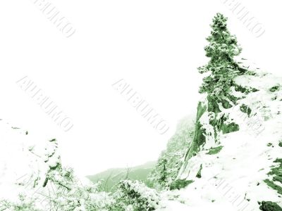 Winter landscape