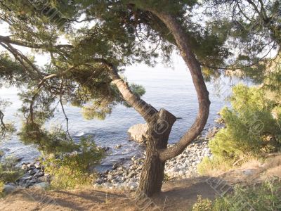 Old park on seacoast