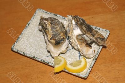 Oyster shells -Kaki