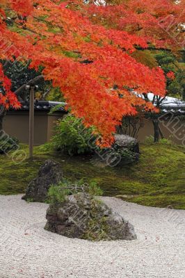 Autumn Japanese garden