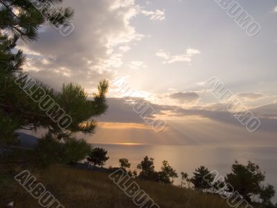 Sunrise