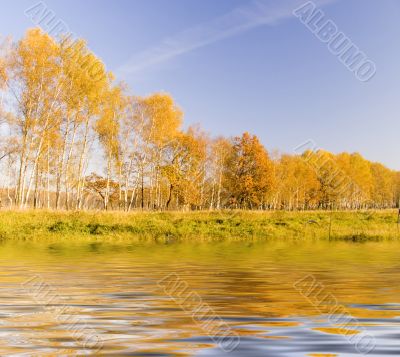 autumn landscape